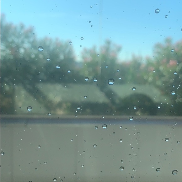 Meet your Posher, Aymara - Picture 1 of 1